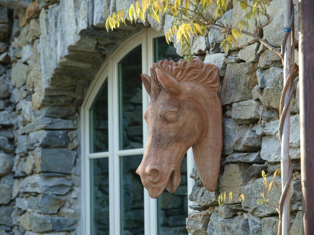 Park Hotel Villa Belvedere Cannobio Buitenkant foto