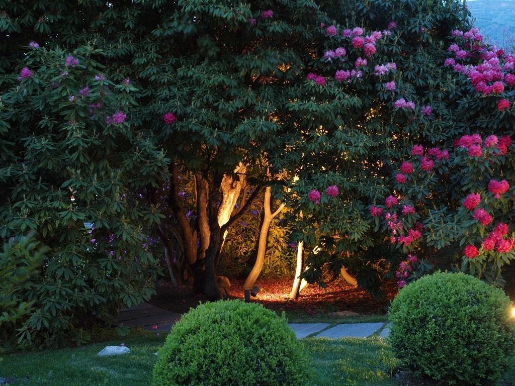 Park Hotel Villa Belvedere Cannobio Buitenkant foto