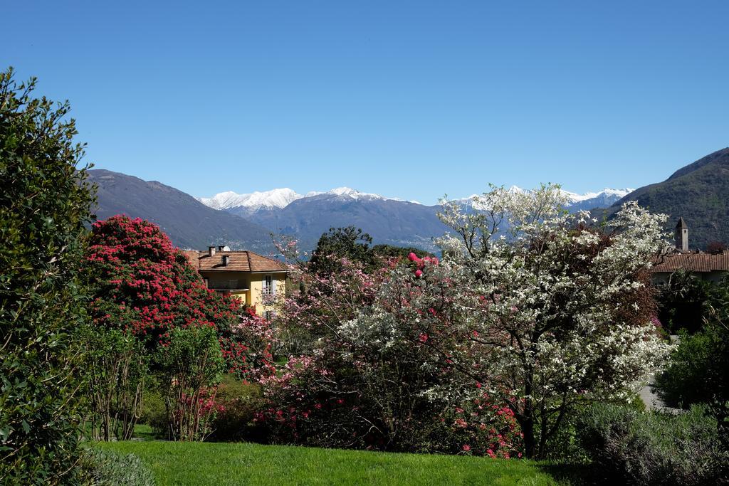 Park Hotel Villa Belvedere Cannobio Buitenkant foto