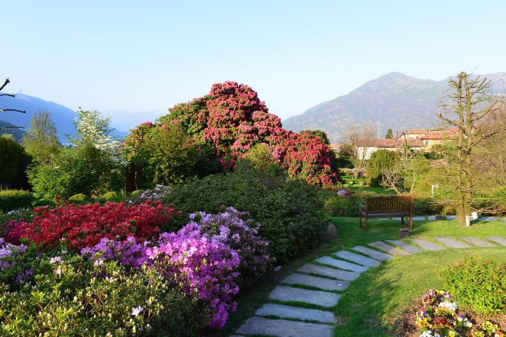 Park Hotel Villa Belvedere Cannobio Buitenkant foto
