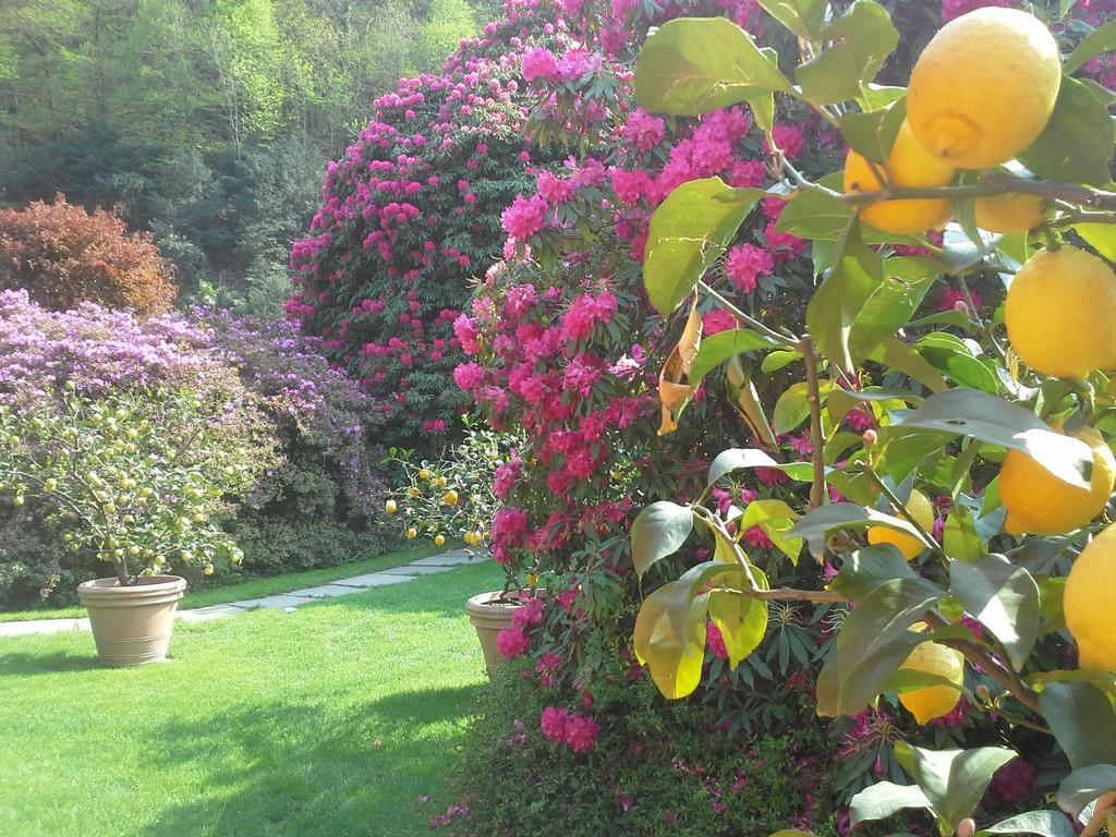 Park Hotel Villa Belvedere Cannobio Buitenkant foto
